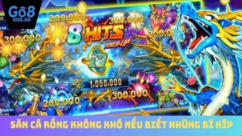 Săn Cá Rồng